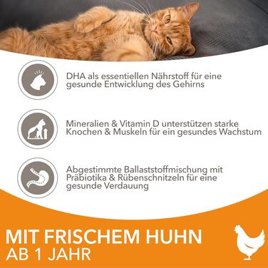 Сухий корм для дорослих котів IAMS з куркою (від 1 до 6 років), 10 кг