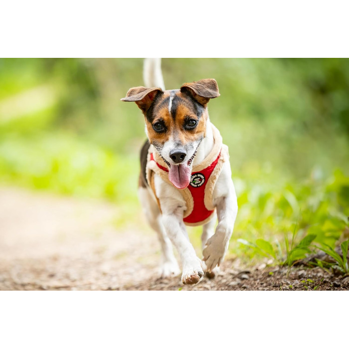 М'який нашийник для собак CHIARA MIA, розмір XL, червоний, водонепроникний, з клямками, світловідбиваючі смуги