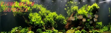 LED-освітлення для акваріума 100 см, трубка — Malawi