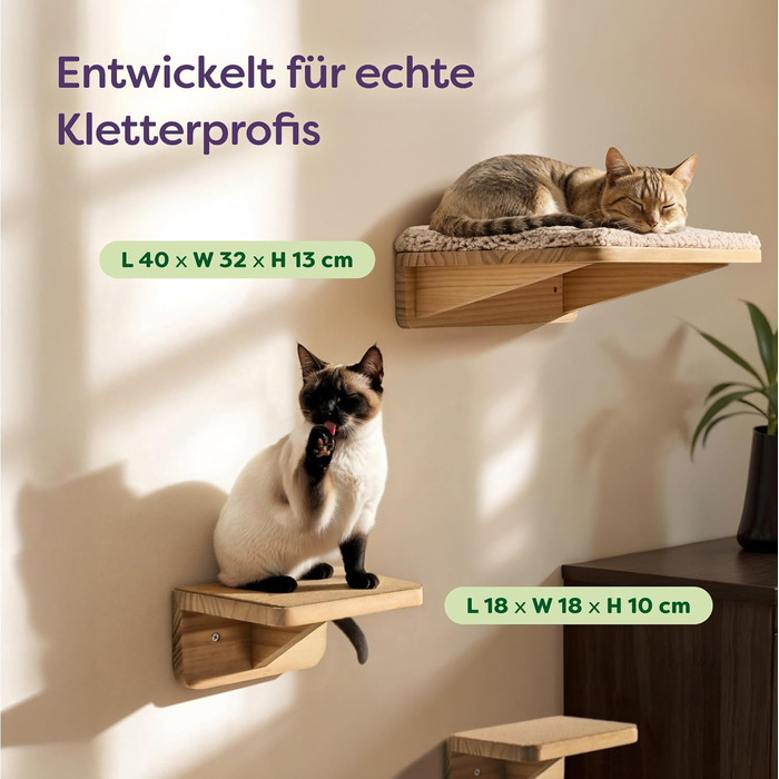 Комплект для котячого комплексу Knupis: Кліматична стіна з ліжком та 2 сходинками – Масивна деревина FSC® з сосни, стійка платформа до 30 кг – Для ігор та відпочинку - Бежевий