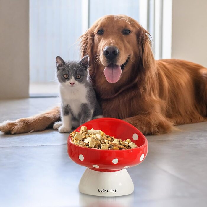 Керамічна годівниця для котів 