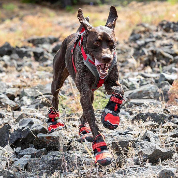 Взуття для собак Kurgo Blaze Cross - захист лап на всі сезони - водонепроникне, світловідбиваюче, неслизьке - 2 шт. - Сірий – S