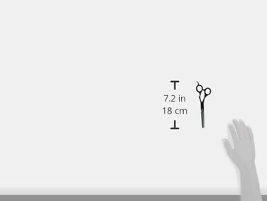 Ножиці для витончення шерсті Andis 6.5', професійні для грумінгу собак та котів (80645)