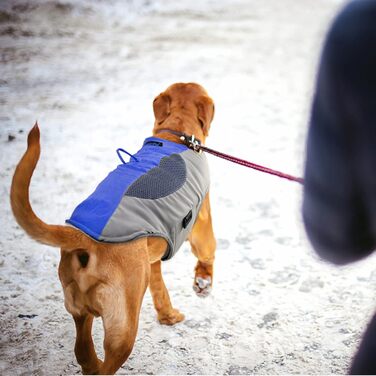 Підкладкова регульована куртка для собак, обігріваюча жилетка для собак з LED-підсвічуванням, зручна та вітронепроникна куртка для маленьких та середніх собак (XL, Синій та Сірий) XL Синій та Сірий