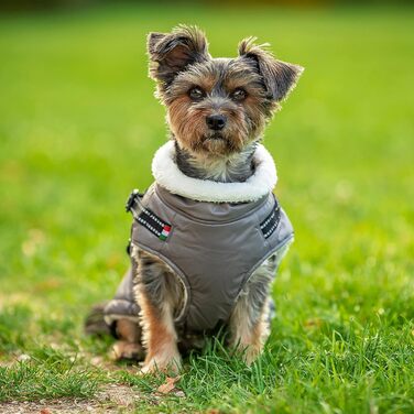 Зимова куртка для собак CHIARA Nick з шлейкою CHJ-2331DB-3 XL - тепла, водонепроникна, вітронепроникна, поліестер, індивідуальна посадка, темно-сіра (M, Сірий)