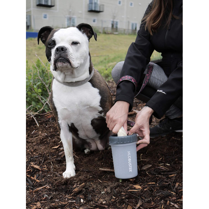 Dexas MudBuster: портативний очищувач лап для собак, розмір M, сірий, з кришкою