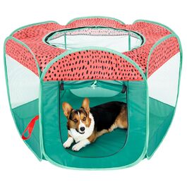 розмір: великий