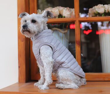 Зимовий теплий водонепроникний одяг для собак з кільцем D, суперлегкий, для малих порід (XS-XL)