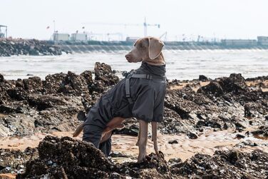 Водонепроникний комплект для собак BT Bear: жилет, дощовик, жилетка, шлейка, 6XL, сірий