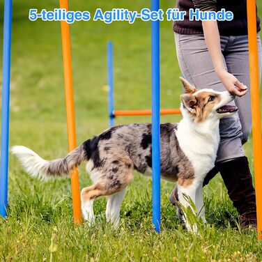 Набір для аджиліті Sonnewelt Agility Set для собак, 5-ти елементний: слалом, бар'єр, кільце для стрибків, тунель. Ідеально для парку, тренувань та цікавих ігор.