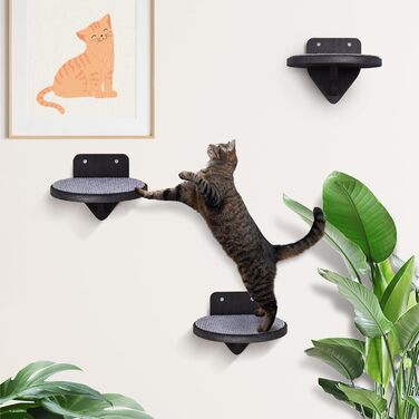 Кліматична стіна для котів XXL з берези | Набір з 3 сходинок з дряпальною поверхнею | Сходи для котів на стіну | Сітка для лазіння котів (Темний колір)