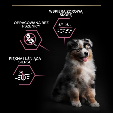 Сухий корм PRO PLAN гіпоалергенний для цуценят середніх порід із лососем, 12 кг