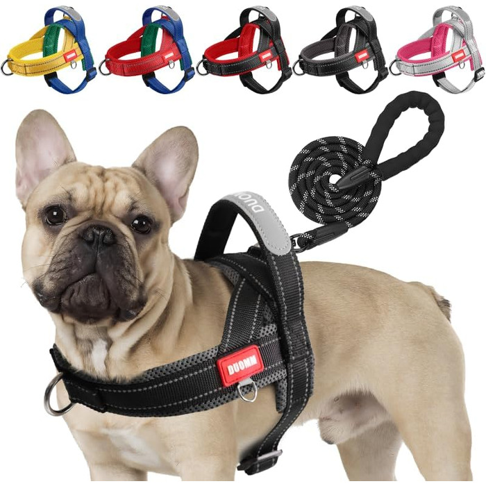 Нашийник для собак середніх та маленьких порід з повідком, кольоровий, сітка, м'який, з ручкою та кільцем, світловідбиваючий, легкий, чорно-сірий, розмір M