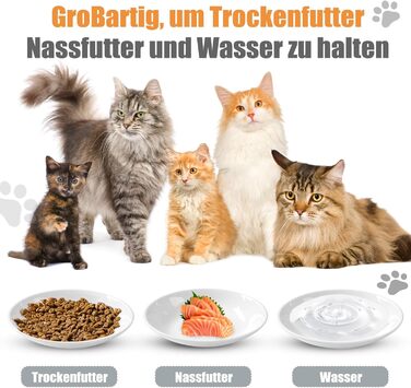 Набір мисок для котів з кераміки (8 шт.) з антиковзким дном, проти втоми вусів, широкі та плоскі миски для кошенят, котів та дрібних тварин