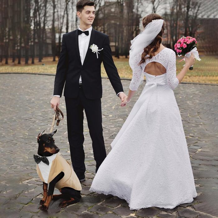 Костюм для собак 