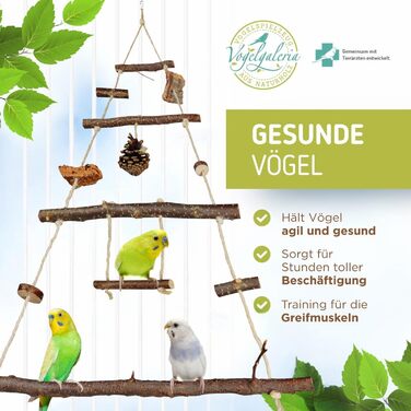 Ігровий майданчик для птахів Vogelgaleria® з натурального дерева | Гойдалка для хвилястих попугаїв | Іграшка для маленьких папуг | Іграшка для корелл | Підвісний ігровий майданчик для хвилястих попугаїв