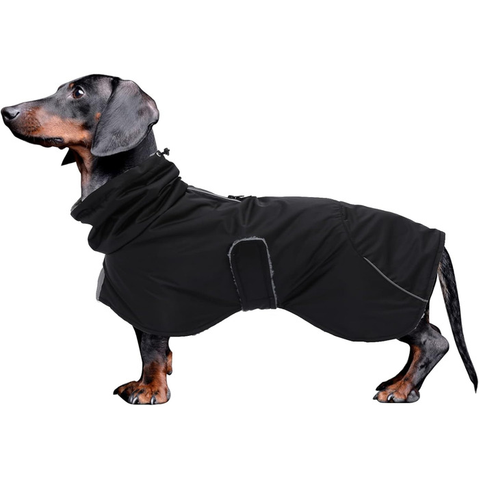 MOREZI Водонепроникна зимова куртка для собак, з флісовою підкладкою, для такс та схожих порід, чорна, M (довжина спини: 39-42 см)