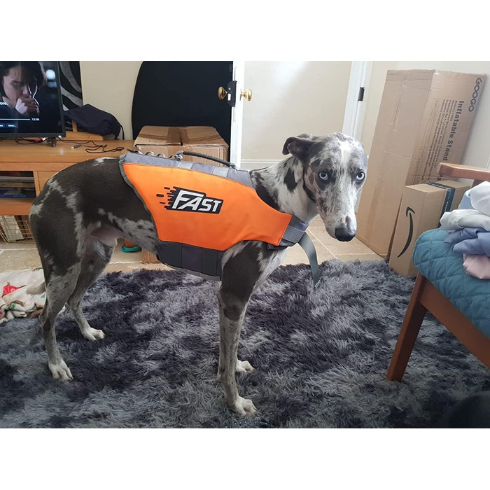 Жилет рятувальний для собак Ownpets, XL, помаранчевий