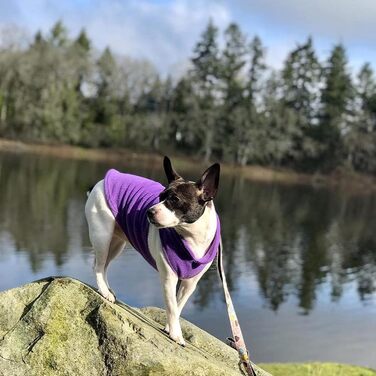 PETCUTE Теплий зимовий пуловер для собак, флісова жилетка для маленьких, середніх та великих собак, жилетка для собак з отвором для повірця, фіолетовий