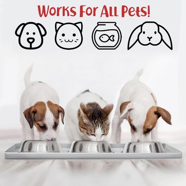 Підкладка під миску для собак DogBuddy, водонепроникна, з неслизького силікону, з високими бортиками (48 x 30,5 см)