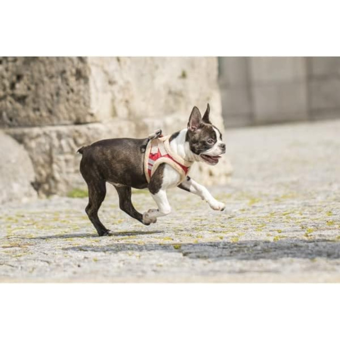 М'який нашийник для собак CHIARA MIA, розмір XL, червоний, водонепроникний, з клямками, світловідбиваючі смуги