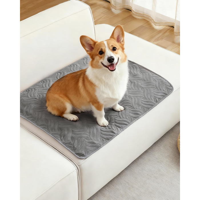 Водонепроникний килимок для собак, захист дивану та авто, килимок для тварин на вулицю, міцний килимок для собак як захист для дивану та ліжка, неслизьке дно - Сірий CTH017G (80 x 60 см)