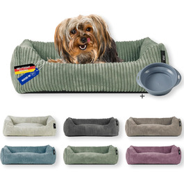 колір: салак