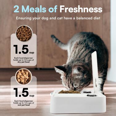 Автоматичний годівниця для котів та собак ALL FOR PAWS з таймером, для сухого та вологого корму, миється у посудомийній машині