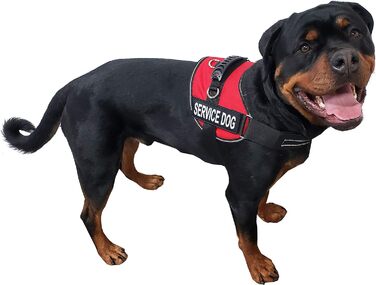 Шлея для собак ActiveDogs Air-Tech XL, Cordura, червона, з ручкою, ADA-картками та світловідбивними нашивками для сервісних собак (73,7-101,6 см)