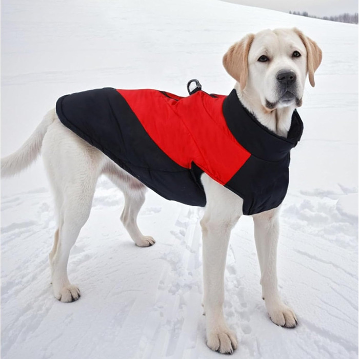 Тепла зимова куртка для собак, водонепроникна, з м'яким коміром-гетром, для малих та середніх собак, з кільцем D, помаранчевого кольору, L