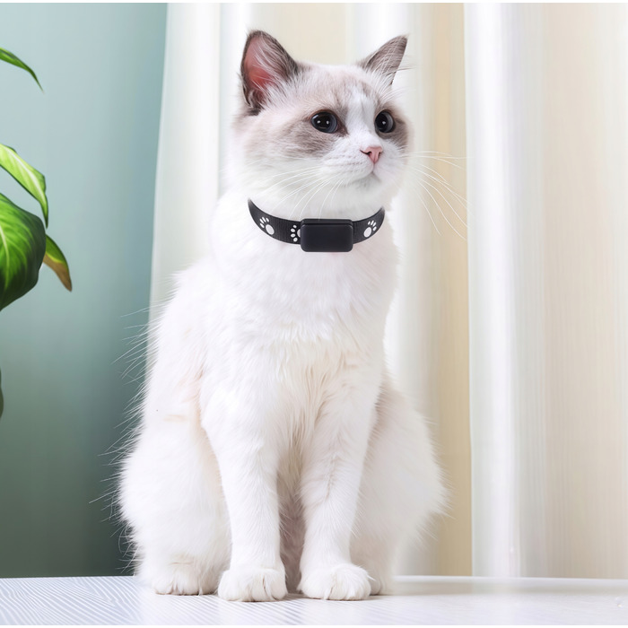 GPS-трекер для собак та котів: міні-нашийник для тварин без абонплати з додатком