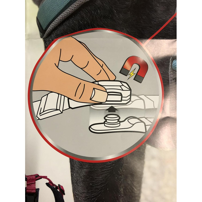 Нашийник для собак Petlando MAGNETECH Mesh Fuchsia/Navy, XXS, 30-35 см, ширина 2,5 см