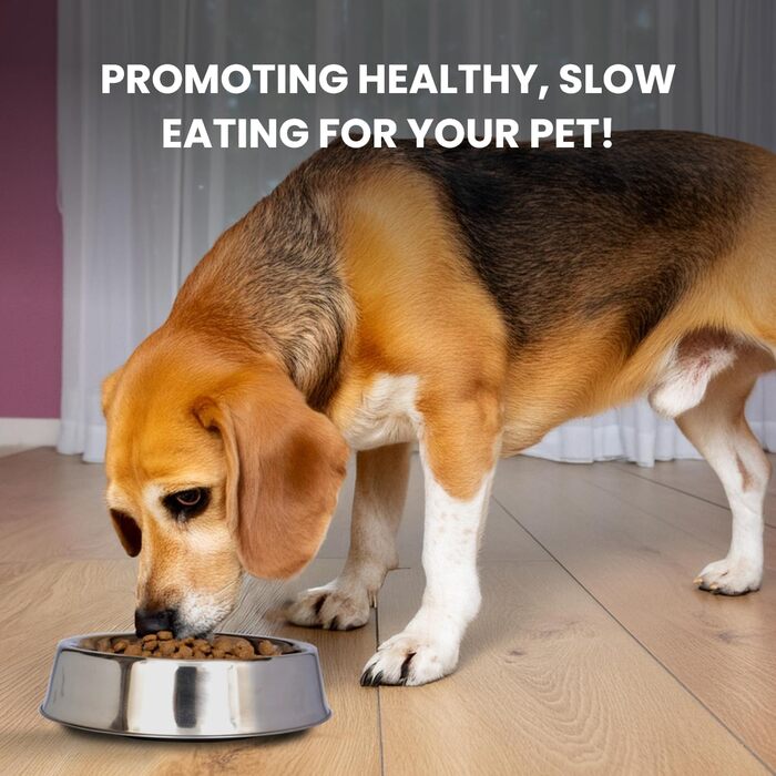 ICONIC PET Миска для собак та котів 900 мл з нержавіючої сталі, 4 чашки, з антиковзким дном, безшумна, захист від мурах, унікальний дизайн