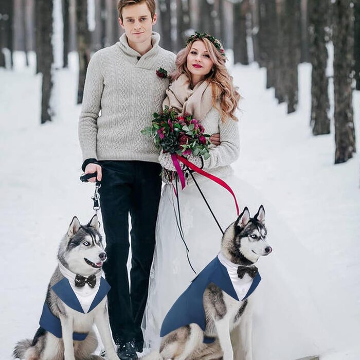 Костюм для собак Kuoser з банданою та краваткою, теплий зимовий, для святкування дня народження, Хелловіну, весілля, S-XXL, синій