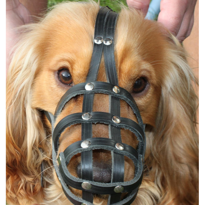 Шкіряна маска для собак L&J Pets для мопсів, пуделів, хаскі та інших собак з подібним розміром морди (5, Чорний) Чорний 5