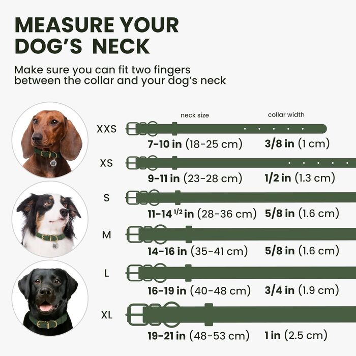 Нашийник для собак BRONZEDOG з м'якої шкіри з QR-ID, регульований, для малих, середніх та великих собак, кошенят (Смарагдовий, 40-48 см)
