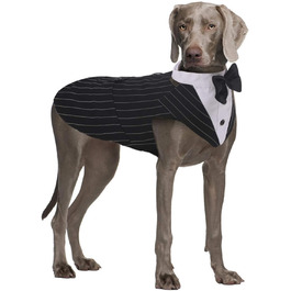 колір: чорні смуги