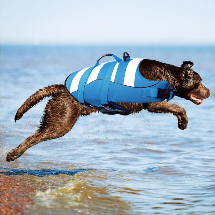 Жилет для плавання собак, блакитний, з Airbag та світловідбиваючими смугами (M)