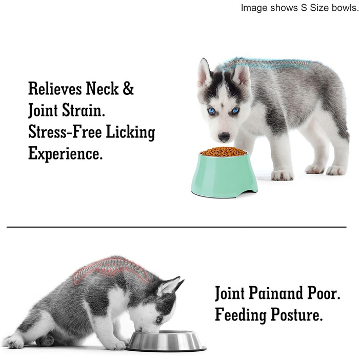 Миска для собак Petvillage, конічної форми, неслизька, з нержавіючою сталею, піднята миска для середніх собак, спанієлів з довгими вухами, велика місткість, розмір L, 3 чашки, (Medium(2 чашки), м'ятний колір)