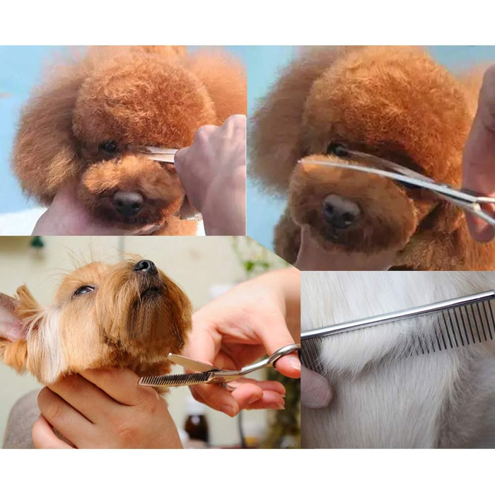 Набір професійних ножиць для собак з безпечними закругленими кінчиками, прямі ножиці, ножиці для вичісування, ножиці для стрижки шерсті, вигнуті ножиці та гребінець для догляду за шерстю собак та котів