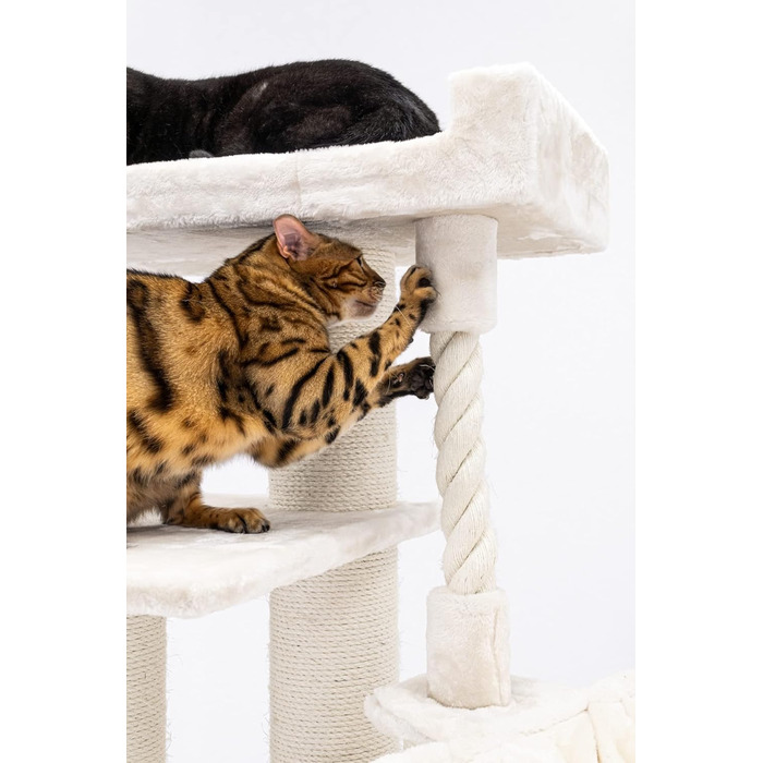Дряпка для котів Petrebels Parklane 175 см, преміум, з XXL гамаком, спальним будиночком, диваном і товстими стовпами, бежево-кремова