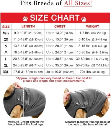 Захисний боді для собак після операції (кастрація/стерилізація), альтернатива нашийнику, сірий, 2XL