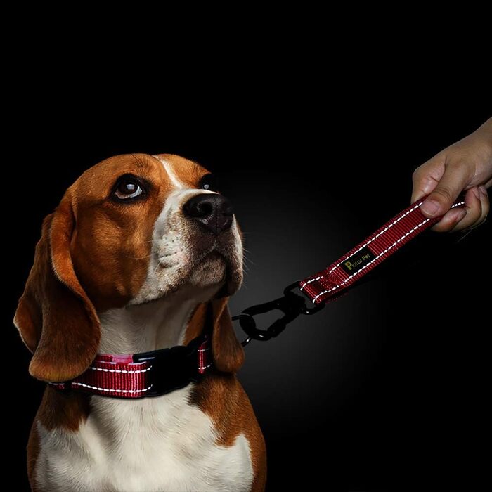 PLUTUS PET короткий повідок для собак 25,4 см, з м’якою нейлоновою ручкою, міцний поводок з карабіном, для великих і середніх собак, червоний
