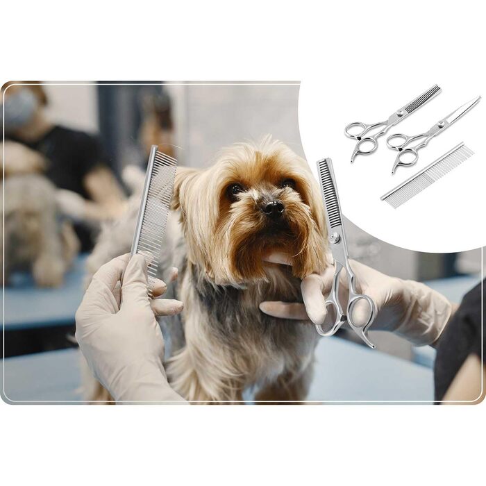 Набір для грумінгу собак Pethaus: безшумна машинка, 4 насадки (3-12 мм), ножиці, гребінець, триммер для нігтів, рожевий
