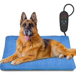 колір: блакитний