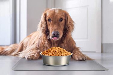 Набори мисок для собак та котів Mery Home з нержавіючої сталі з силіконовим дном, чорні, 2 шт., 14 см (520 мл)