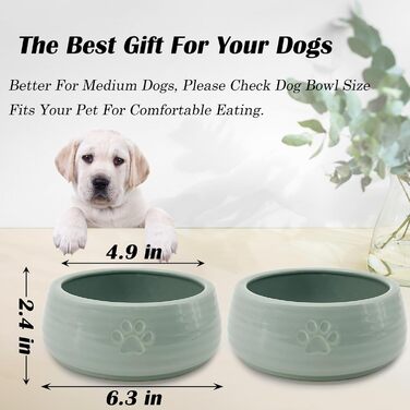 Керамічні годівниці для собак 2 шт., 16 см діаметр x 6,1 см висота, годівниці для домашніх тварин, миска для їжі та води для цуценят, миска для котів, захищає шийний відділ хребта, для собак та котів маленьких та середніх порід, зелений