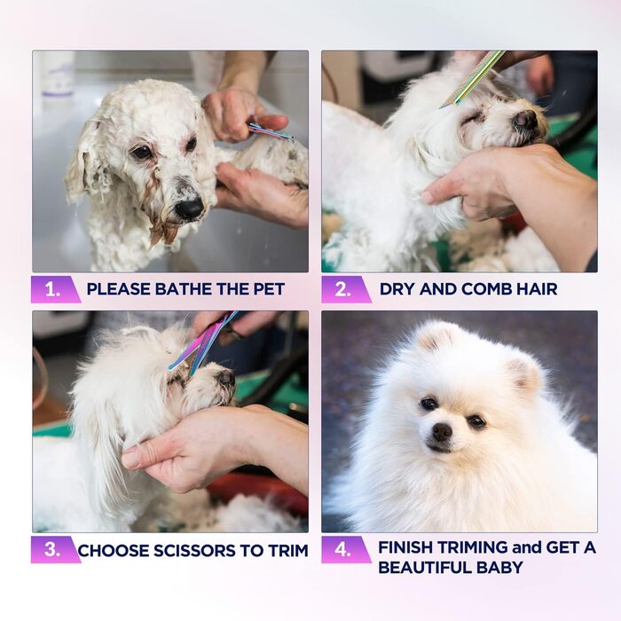 Набір професійних ножиць для грумінгу собак Gimars 4CR, 5-в-1, з титановим покриттям та безпечними закругленими кінцями