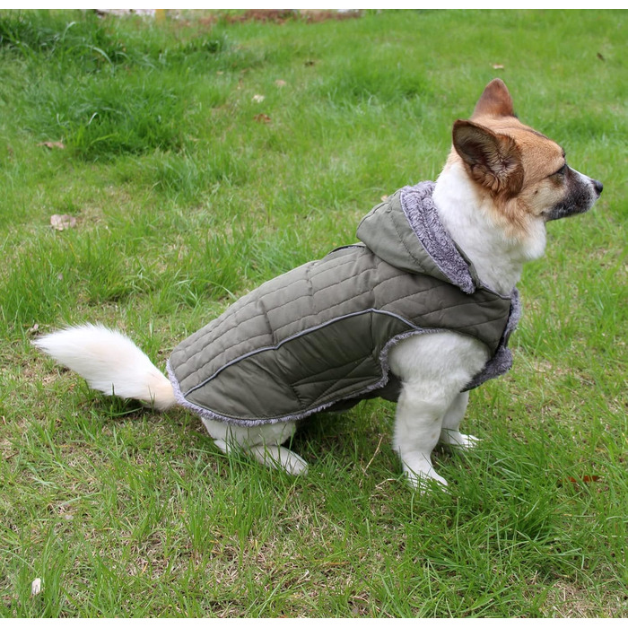 Флісовий худі для собак JoyDaog, теплий плед для цуценят, зелений, розмір S (1 шт.)