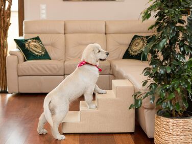 Сходинка для собак та котів Tiertreppen - пандус для маленьких собак, 3 сходинки, висота 30 см